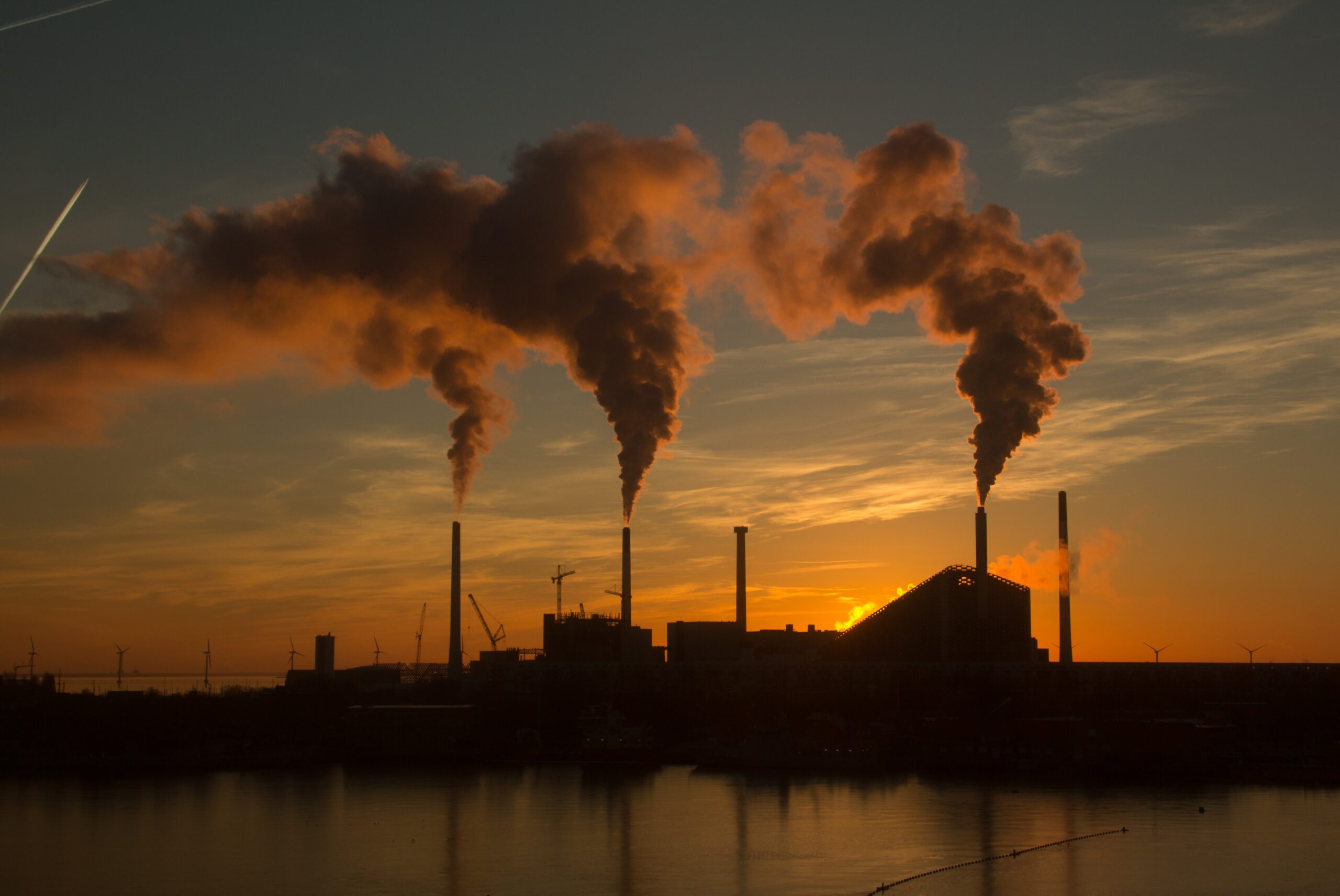 <strong>Mercado de Carbono: sustentabilidade que gera lucro</strong> 